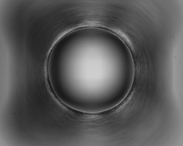 X0000093421382200710121135