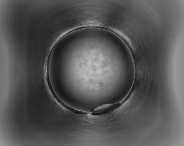 X0000093421383200710121135