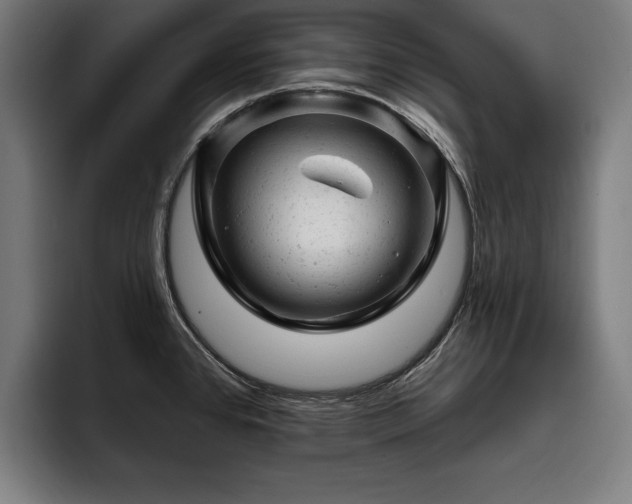 X0000093421384200710121135