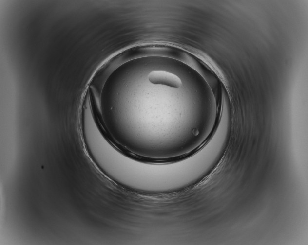 X0000093421388200710121135