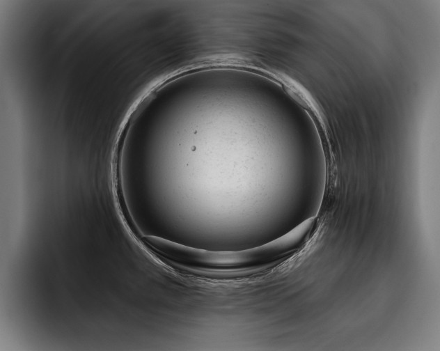 X0000093421389200710121135