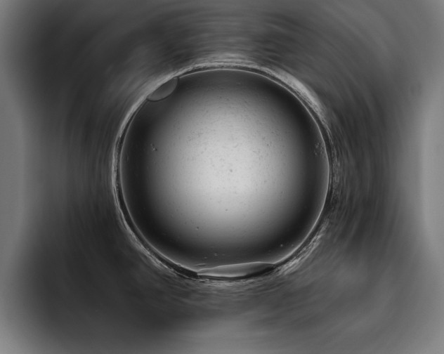 X0000093421390200710121135