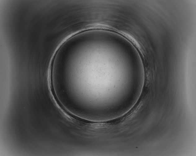 X0000093421391200710121135