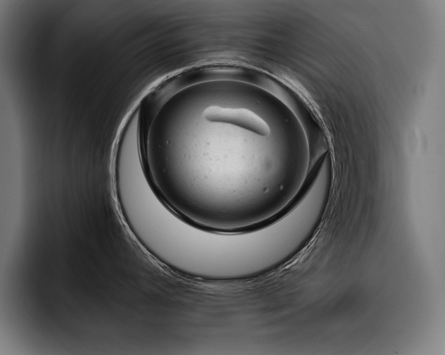 X0000093421392200710121135