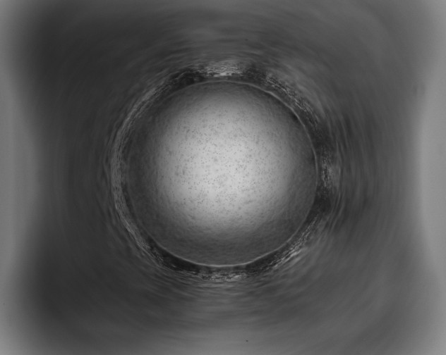 X0000093421393200710121135
