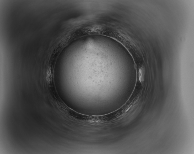 X0000093421395200710121135