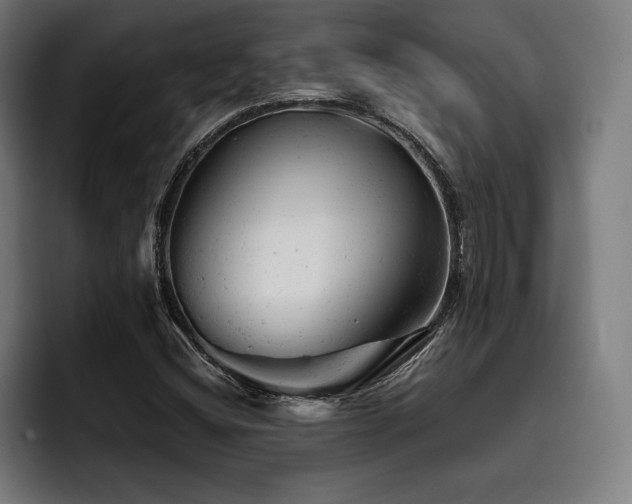 X0000093421404200710121135