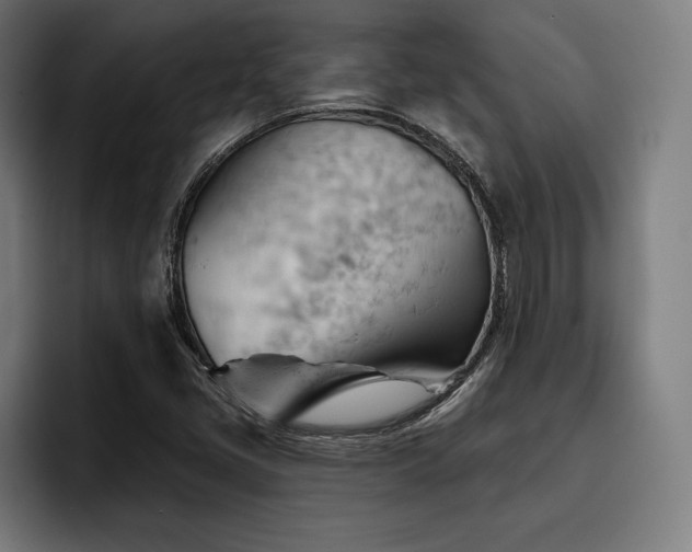 X0000093421405200710121135
