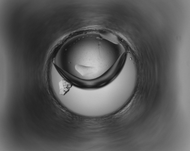 X0000093421406200710121135