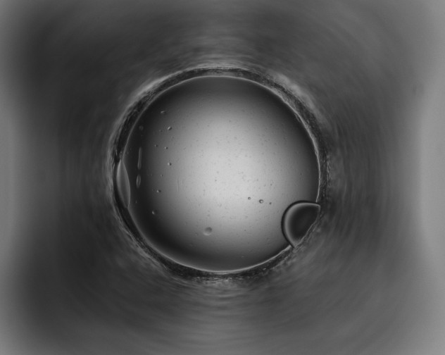 X0000093421408200710121135