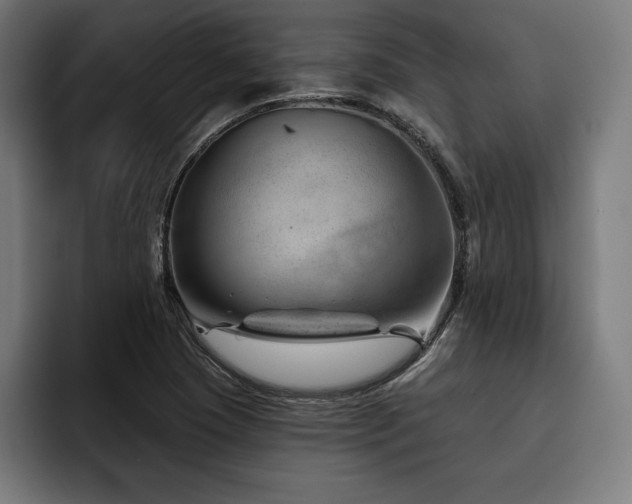 X0000093421409200710121135