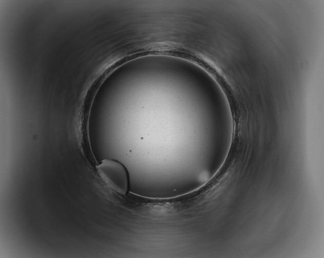 X0000093421410200710121135