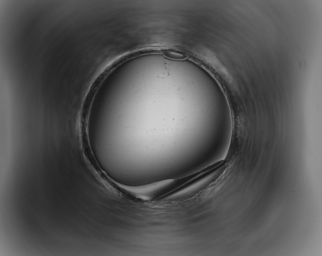 X0000093421412200710121135