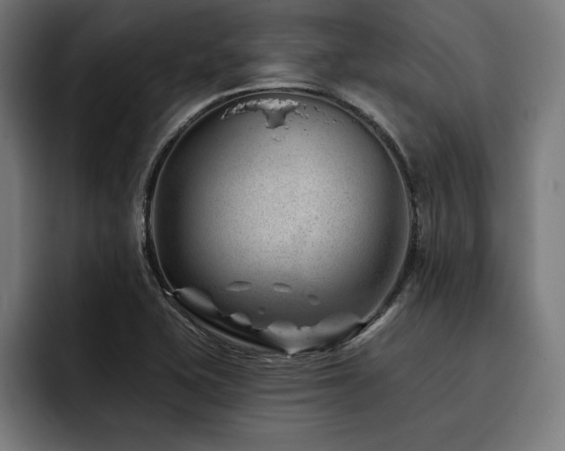 X0000093421415200710121135