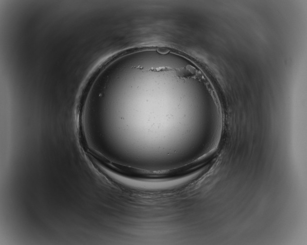 X0000093421416200710121135