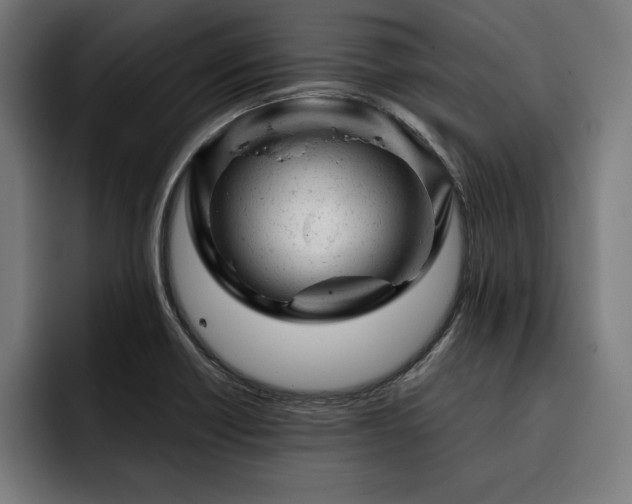 X0000093421418200710121135