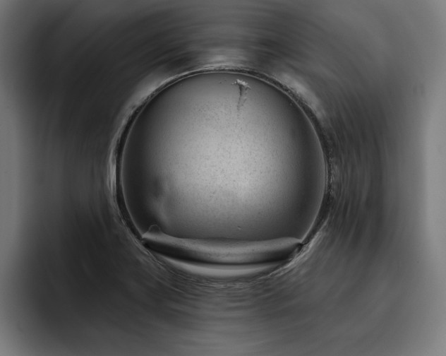 X0000093421419200710121135