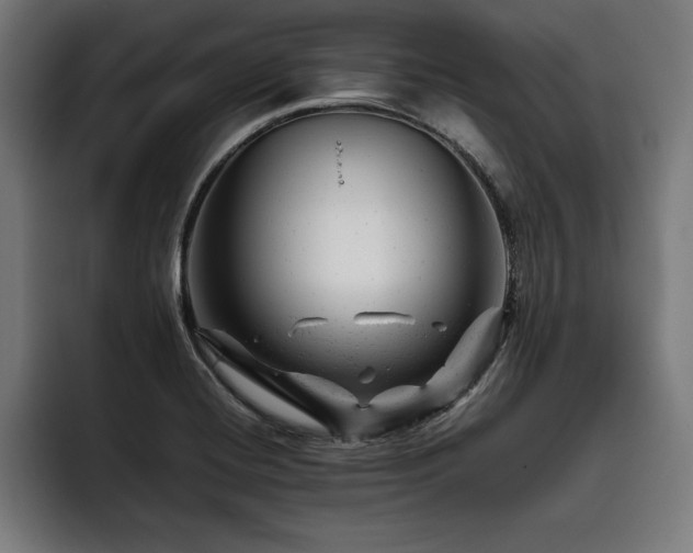 X0000093421420200710121135