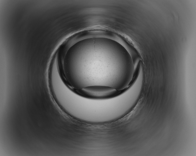 X0000093421422200710121135