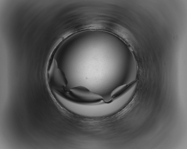 X0000093421426200710121135