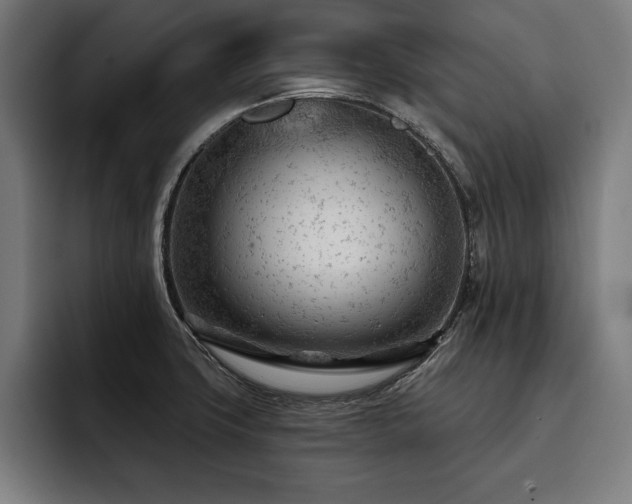 X0000093421427200710121135