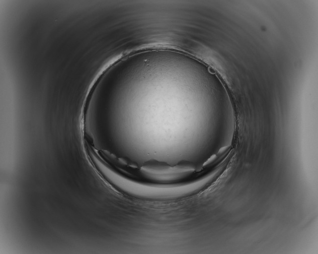 X0000093421428200710121135