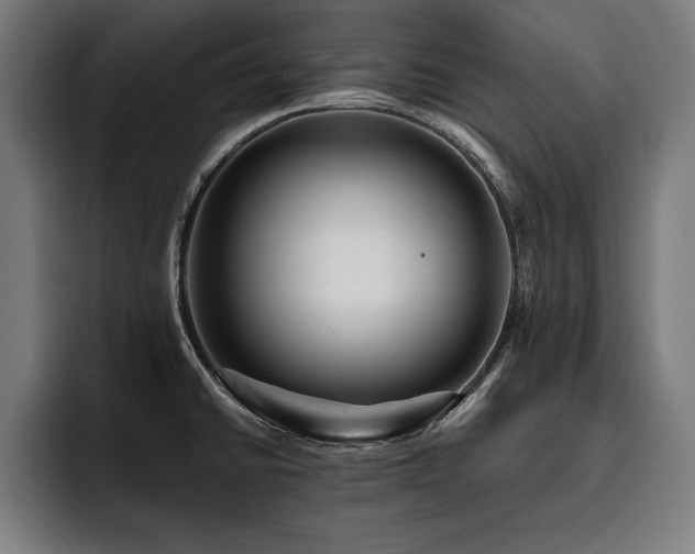 X0000093421430200710121135