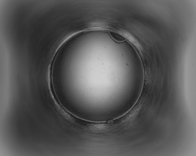 X0000093421431200710121135