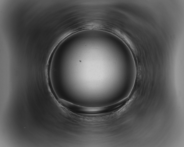 X0000093421434200710121135