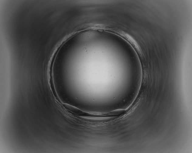 X0000093421435200710121135