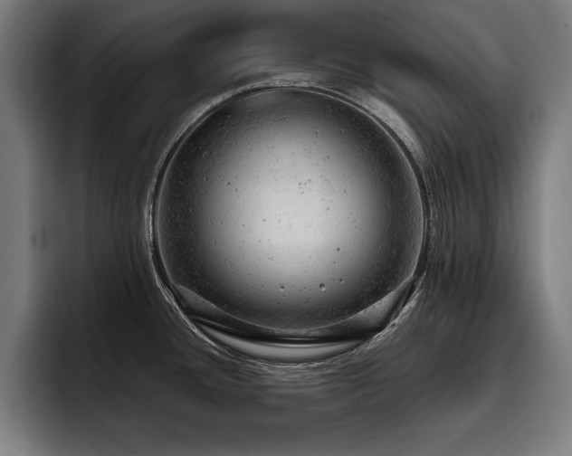 X0000093421436200710121135