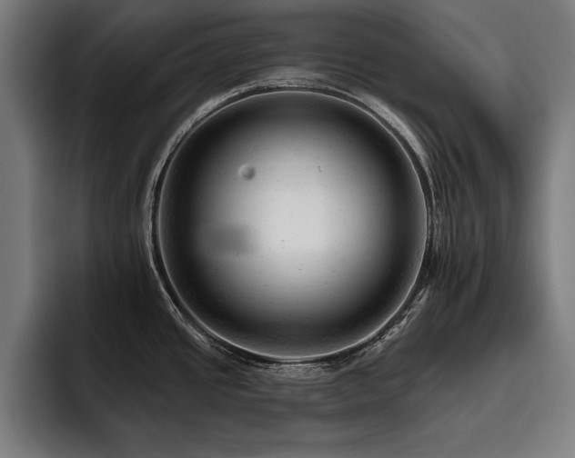 X0000093421437200710121135