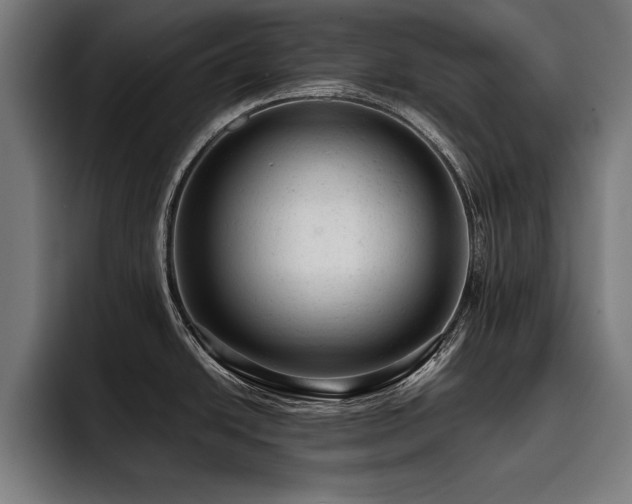 X0000093421438200710121135