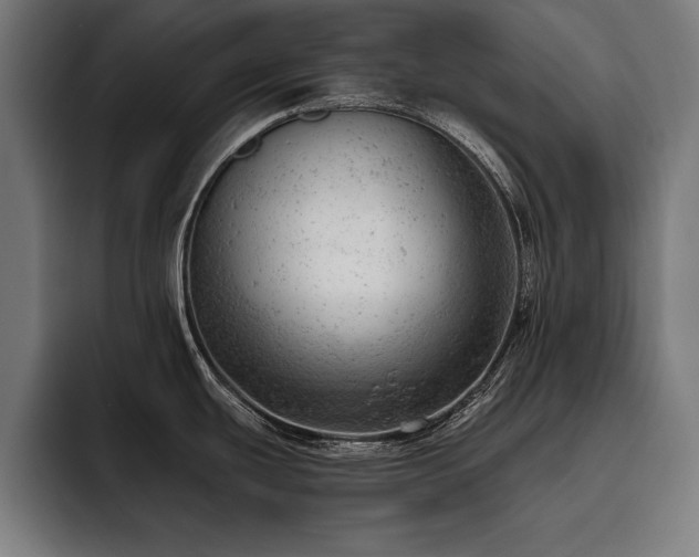 X0000093421439200710121135