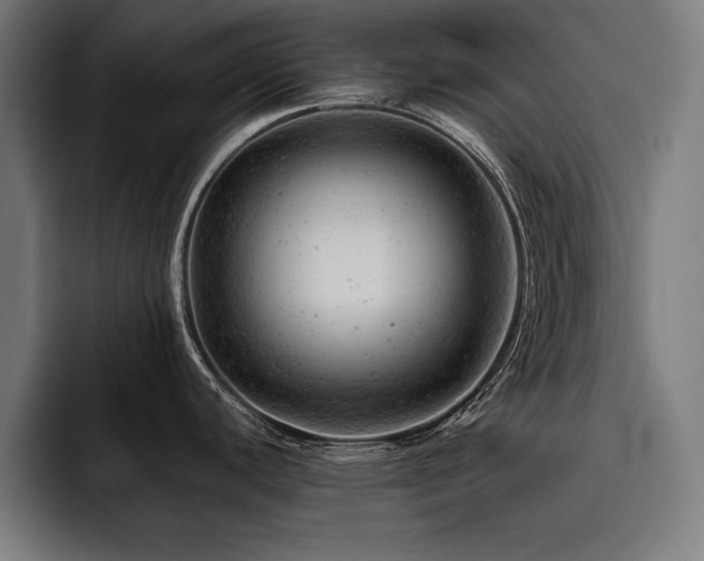 X0000093421440200710121135