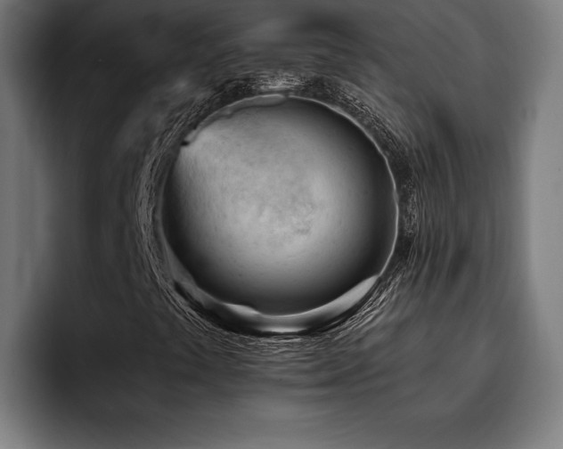 X0000093421441200710121135