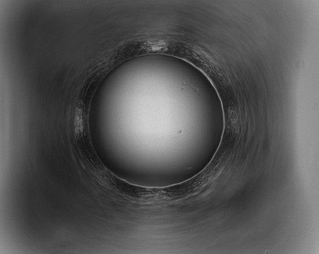 X0000093421442200710121135