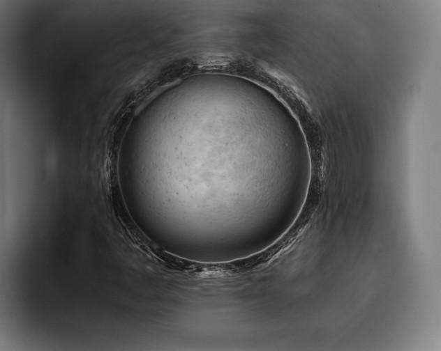 X0000093421445200710121135