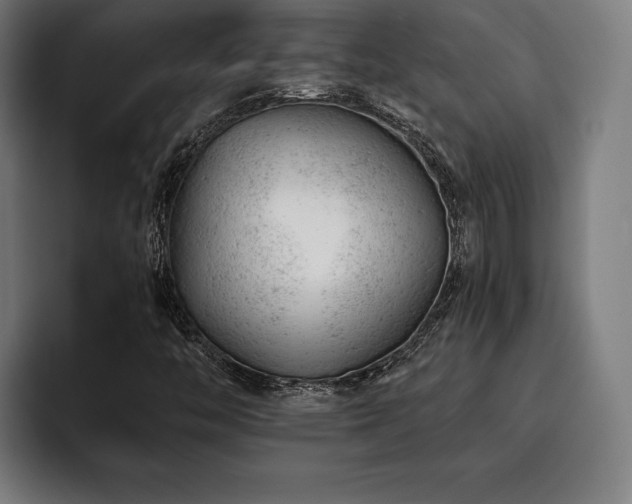 X0000093421446200710121135