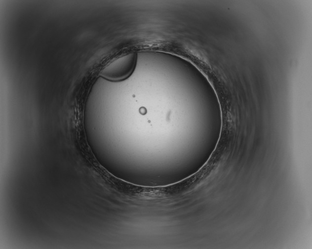 X0000093421447200710121135