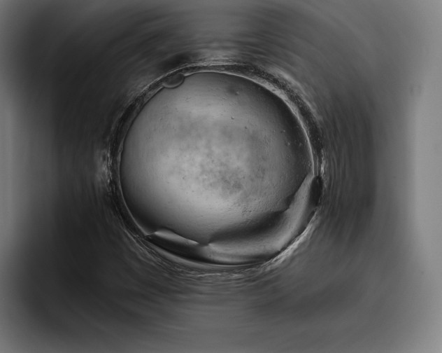 X0000093421449200710121135