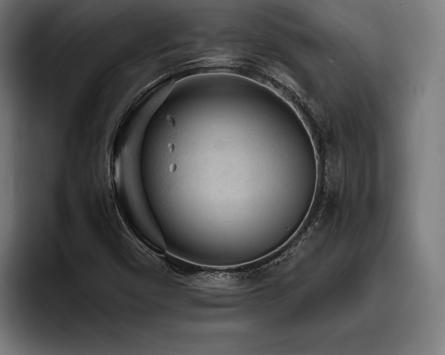 X0000093421450200710121135