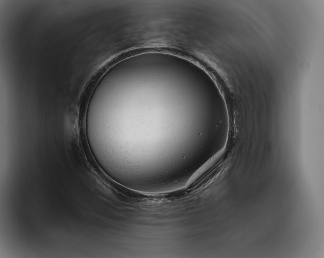 X0000093421452200710121135