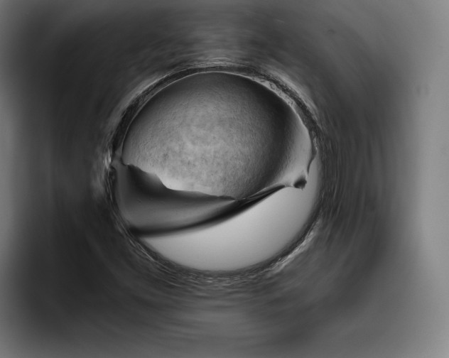 X0000093421453200710121135
