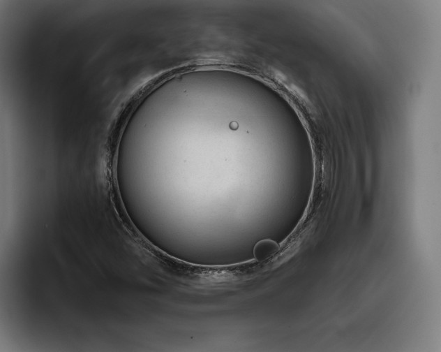 X0000093421454200710121135