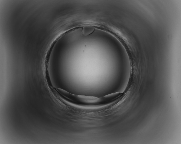 X0000093421463200710121134