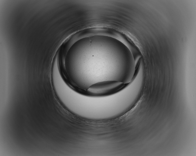 X0000093421465200710121134