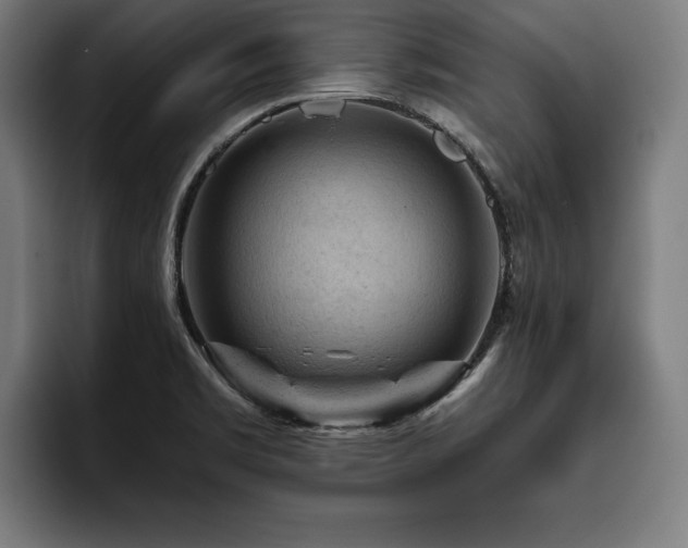 X0000093421469200710121134