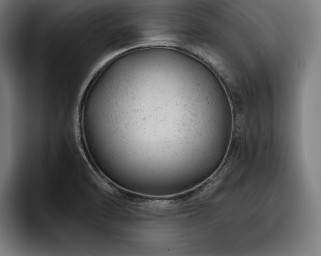 X0000093421470200710121134