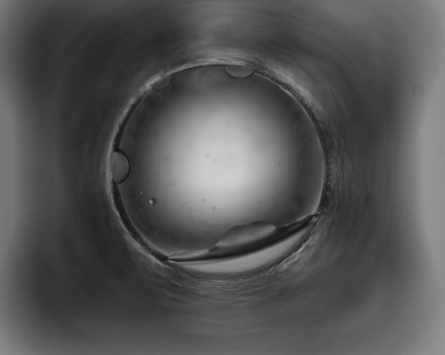 X0000093421471200710121134